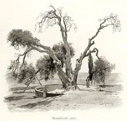 Мамврийский дуб