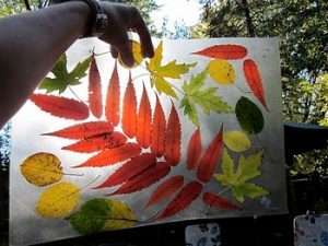 leaf13 - Осенние поделки: аппликации из осенних листьев. Коллаж из осенних листьев