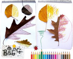leaf52 - Осенние поделки: аппликации из осенних листьев. Коллаж из осенних листьев