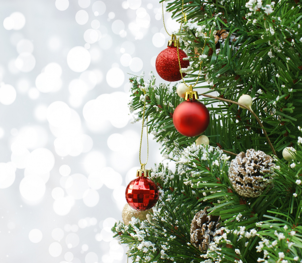 <span class=bg_bpub_book_author>Юлия Ульянова</span> <br>Как новогодняя елка превратилась в рождественскую…