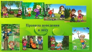 pravila povedeniya v lesu dlya detey - Правила этикета для детей в любых жизненных ситуациях