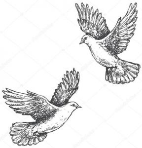 Басня Два голубя