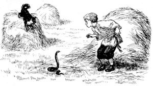 Басня Мальчик и змея