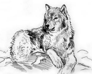 Басня Лев и волк