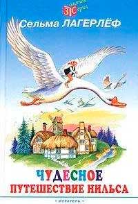 <span class=bg_bpub_book_author>Сельма Лагерлёф</span> <br>Чудесное путешествие Нильса с дикими гусями