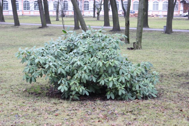 Потерянный день