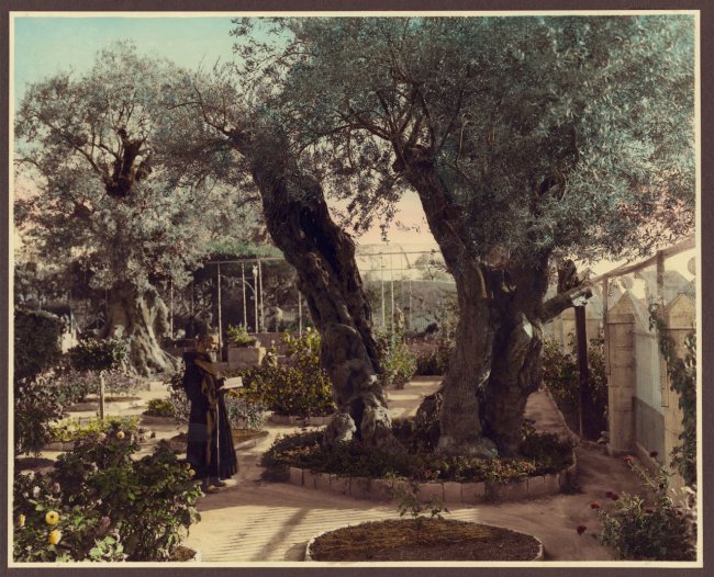Гефсиманский сад 1918.jpg