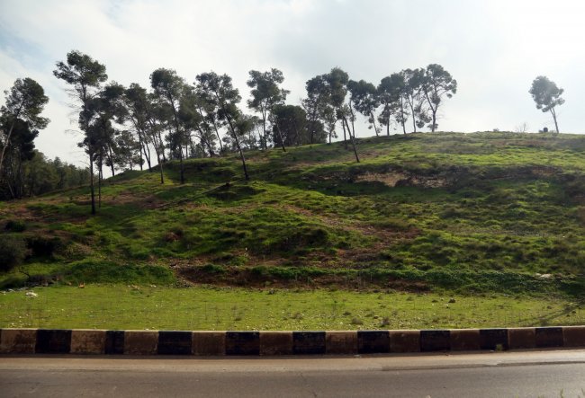 Милосердный самарянин