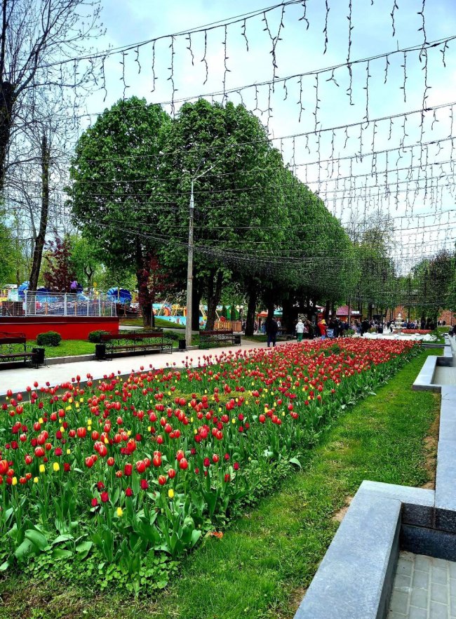 photo_2025-05-12_18-58-34 (2).jpg