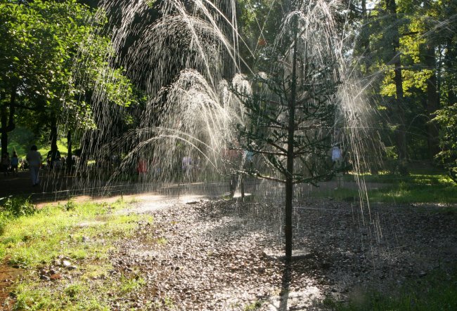 Фотозагадка