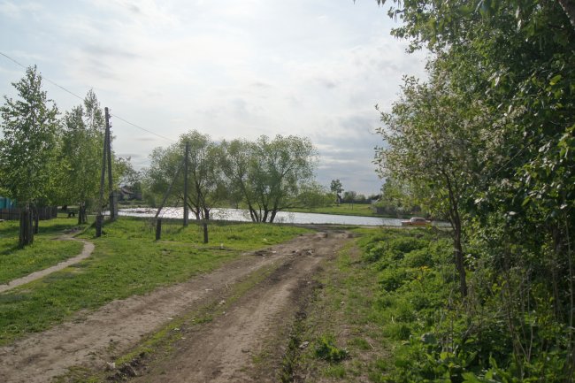 Голубые одуванчики (2): Канавка. Краешек ризы...