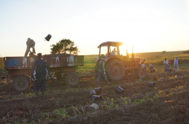 Осенние этюды