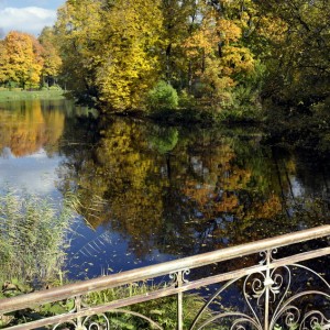 Осень в Пушкине