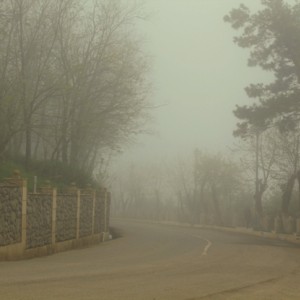 №1 Туман