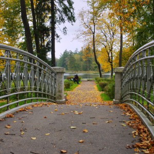 мостик в осень
