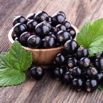 Чёрная смородина: лучшие сорта с крупными ягодами