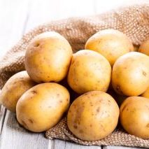 Как сохранить урожай картошки до следующего лета