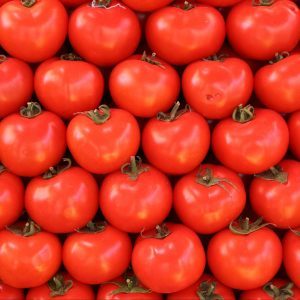 Как собрать и сохранить урожай помидоров