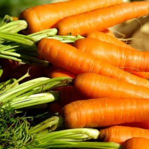Как собрать и сохранить морковь