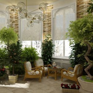 Большие растения для больших комнат
