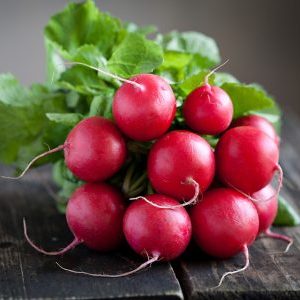 Редиска — кладовая витаминов на нашем огороде
