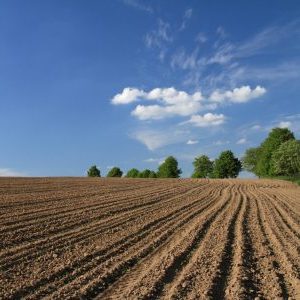 Территориальная классификация почв: луговые и подзолистые почвы и серозёмы