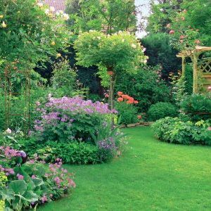 10 советов для быстрого создания сада