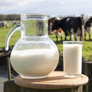 8 вариантов использования молока в саду, доказанных наукой