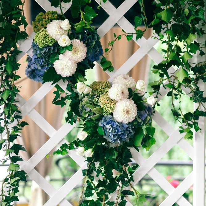 Стенка, решетка, шпалера, арка и пергола