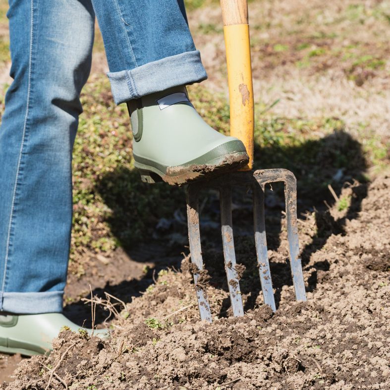 8 способов улучшить уплотнённую почву, чтобы сделать двор или сад более здоровыми