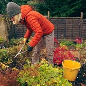 13 ошибок в садоводстве в конце года