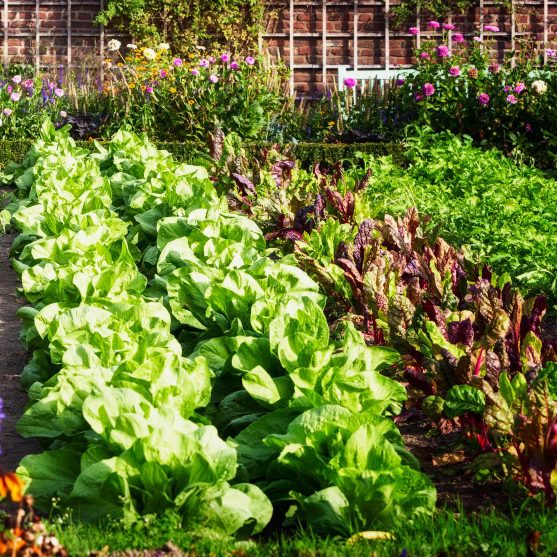 Об опасностях плотной посадки