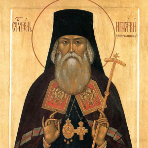 逆境にあっても落ち込むな