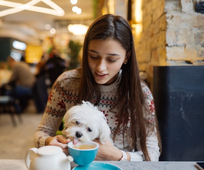 Любовь к животным как элемент современного идолопоклонства