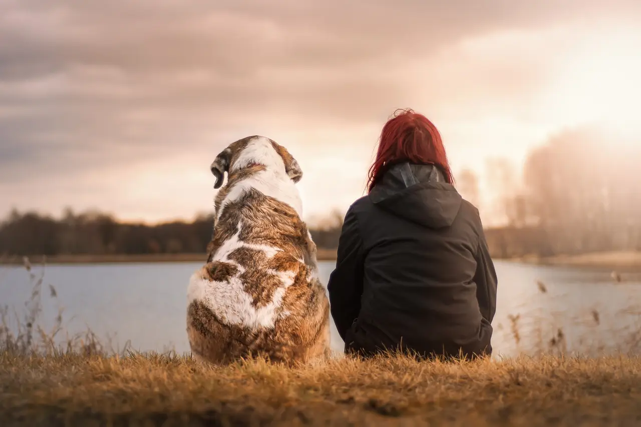 Генетики выяснили, что помогло собаке стать другом человека