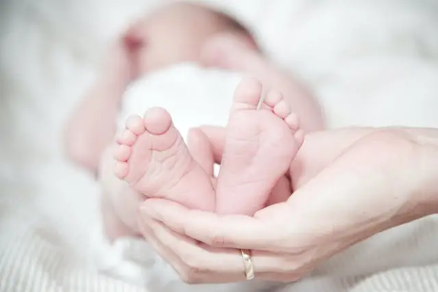 Совет Федерации одобрил закон о запрете суррогатного материнства для иностранцев