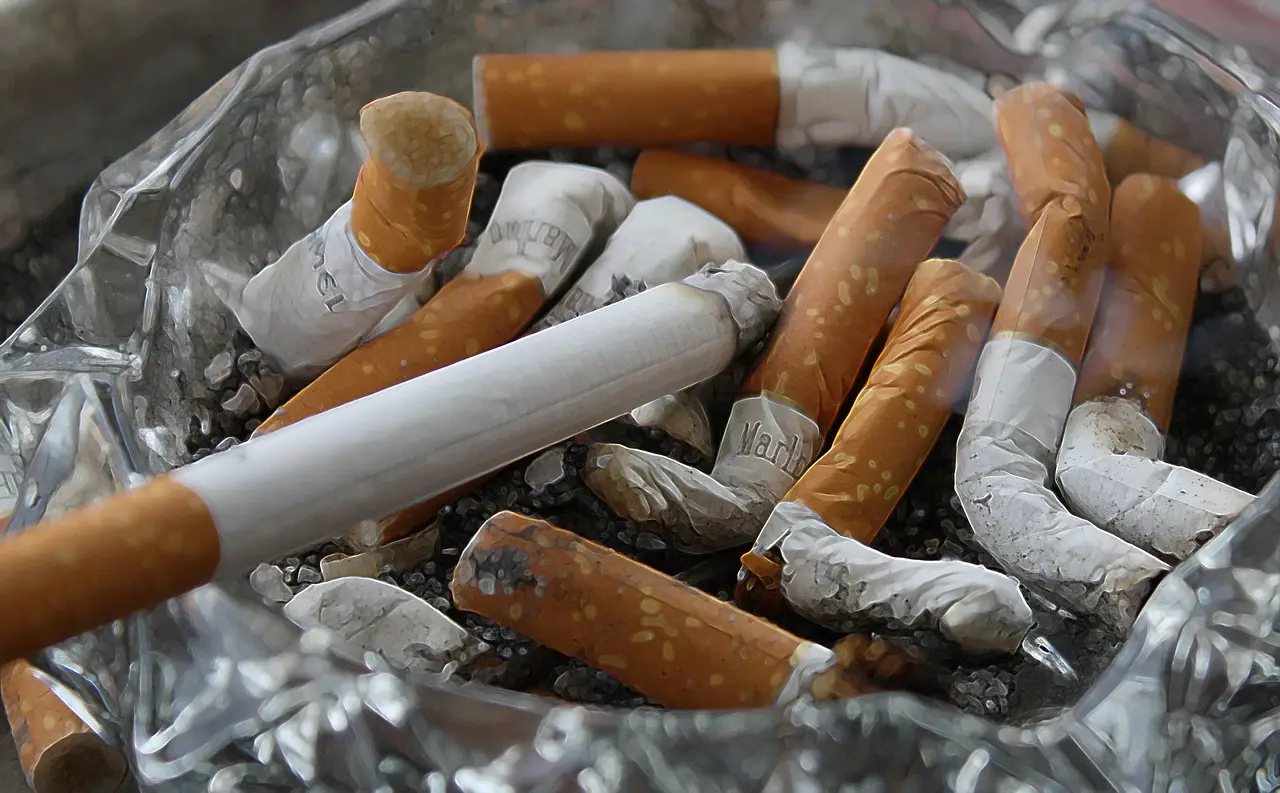 На Магаданскую область и Камчатский край приходится самое большое число курильщиков в РФ
