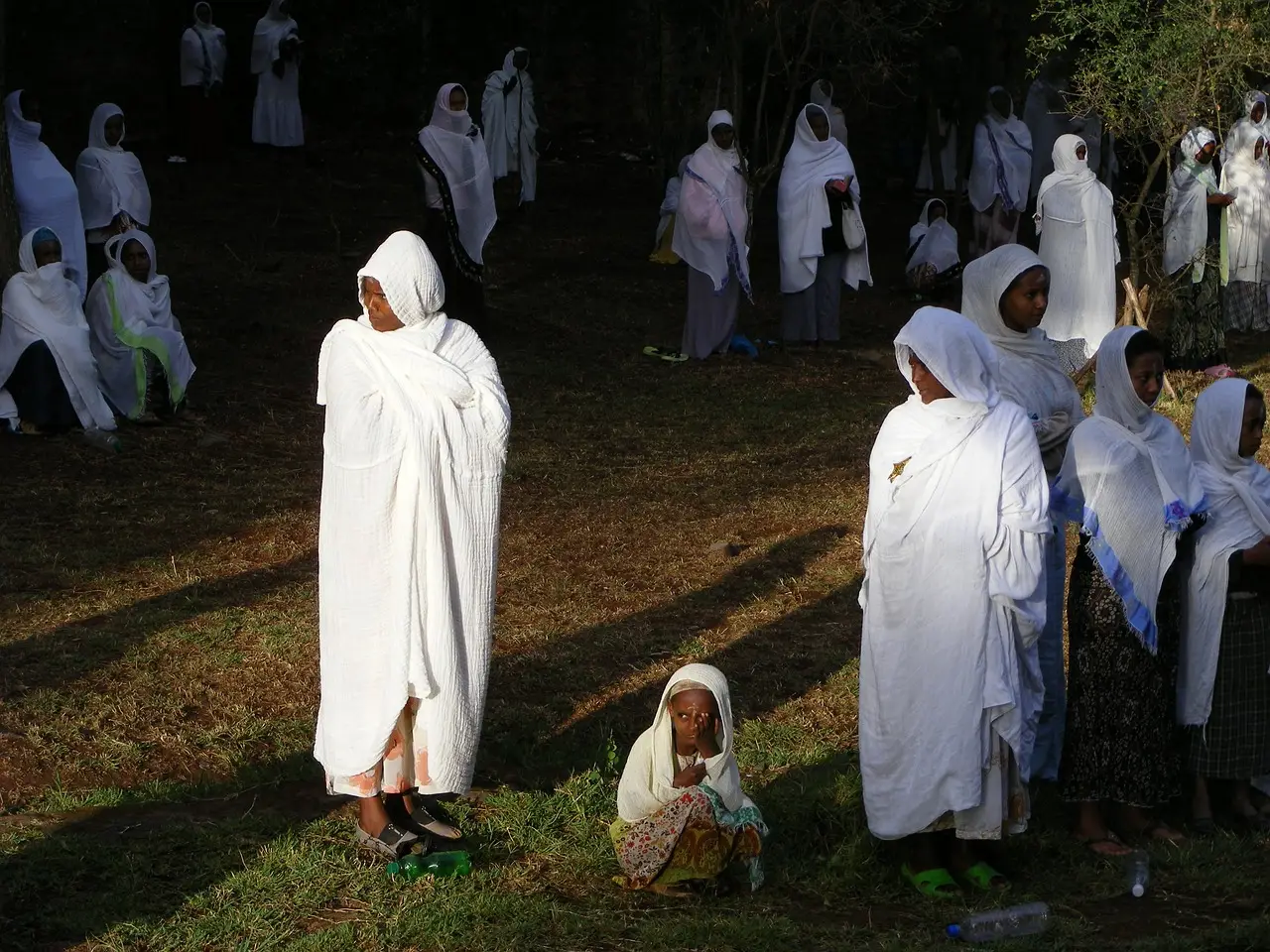 В Эфиопской православной церкви назревает раскол — группа епископов объявила новый Синод для региона Оромия