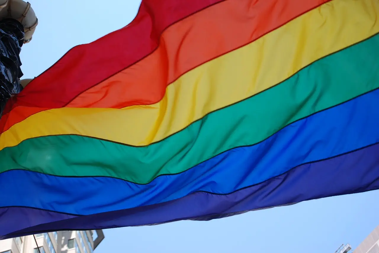 В Венгрии законодательно запретили распространение информации о ЛГБТКИАПП+ в школах