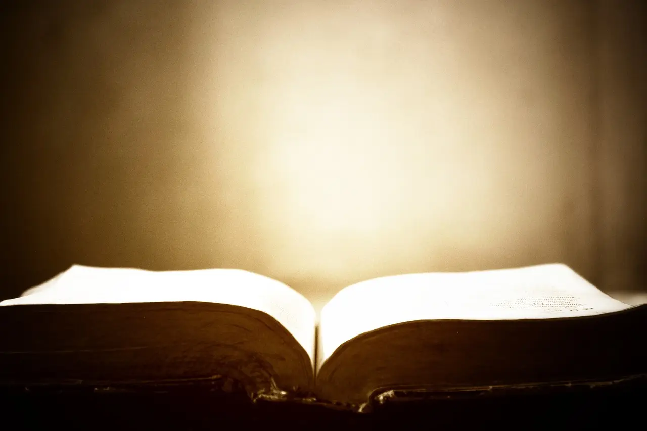 Опубликованы записи конференции «О разногласиях и «ошибках» библейских авторов»