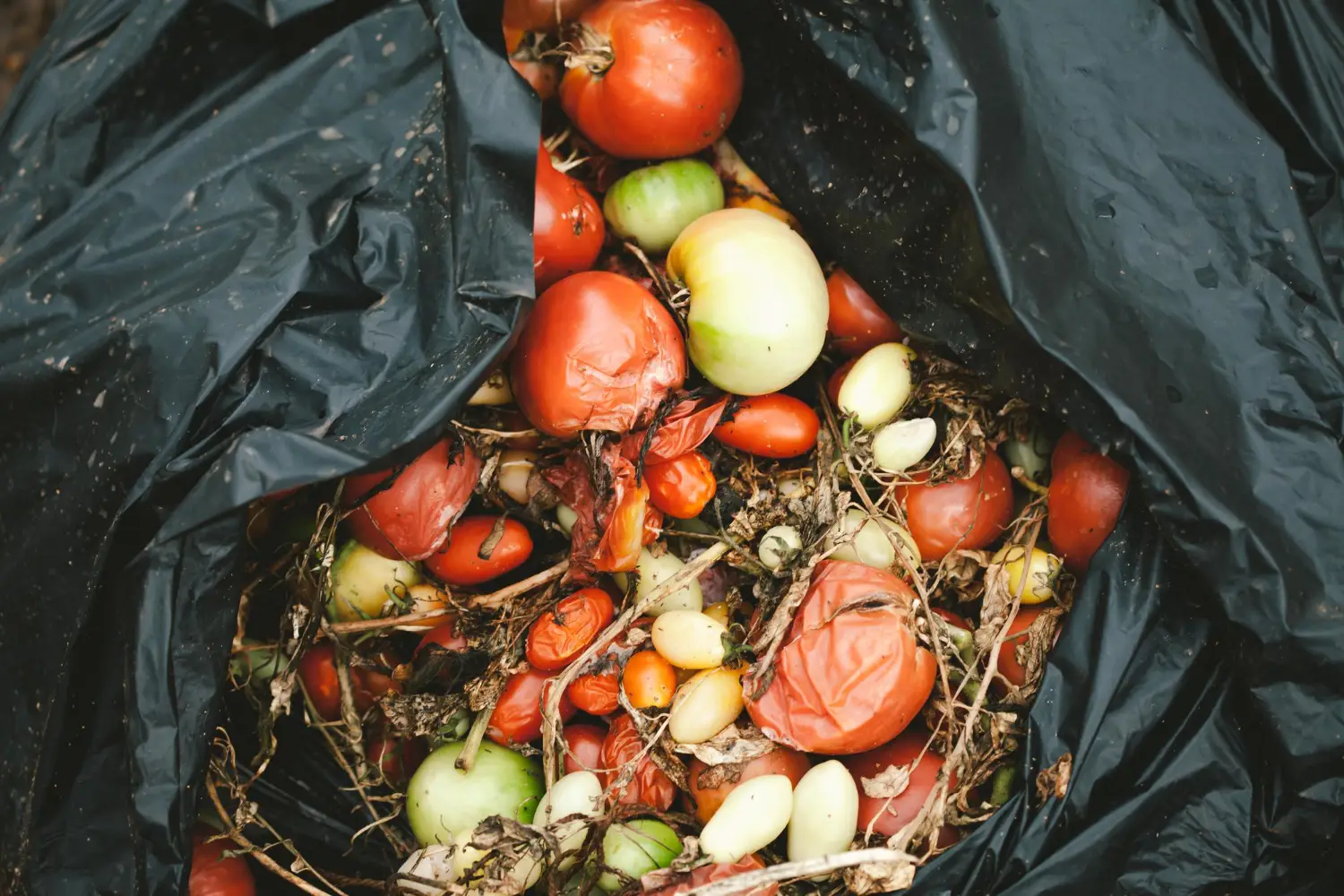 Люди выбрасывают более миллиарда тонн продуктов в год. Как снизить пищевые отходы, рассказала эксперт