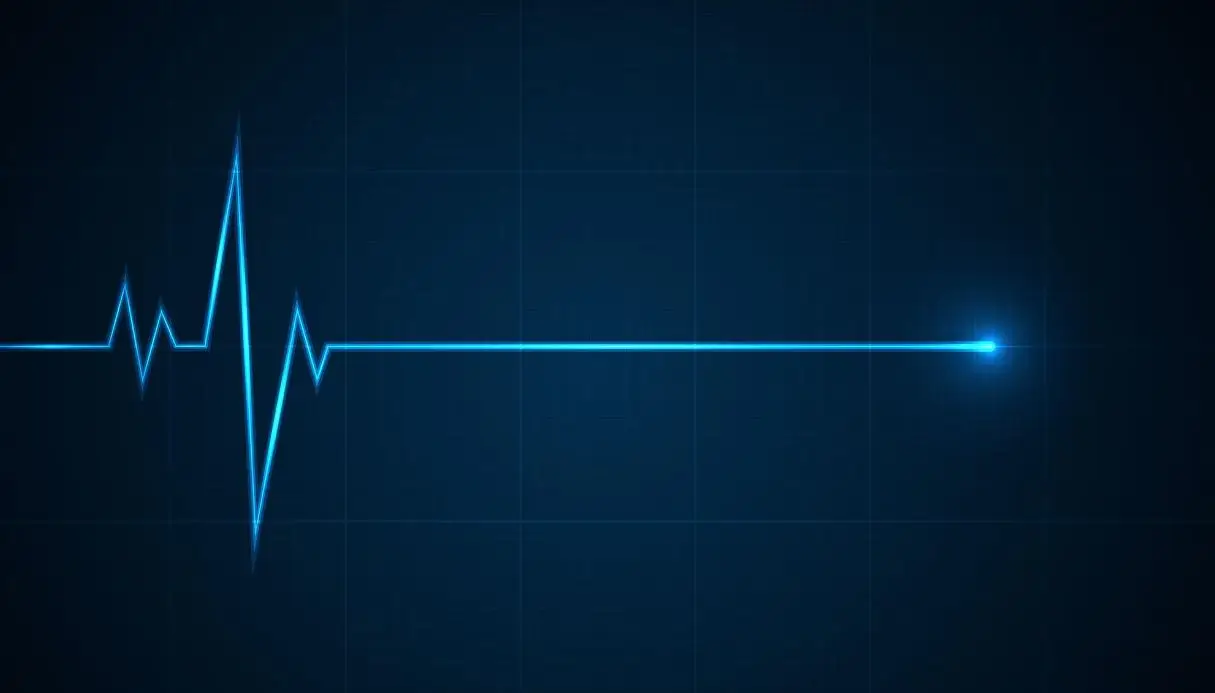 В Испании в 2024 году 426 человек ушли из жизни в результате эвтаназии