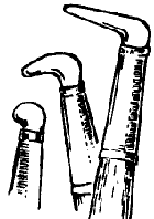 Зубок Зубок