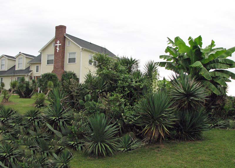 Файл:Монастырь Панагии Паммакаристу (Лоусонвилль).jpg