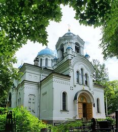 Спасо-Парголовская церковь (Санкт-Петербург)