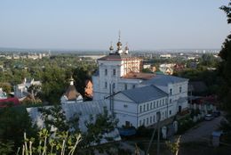 Преображенский Пензенский мужской монастырь. Вид сверху