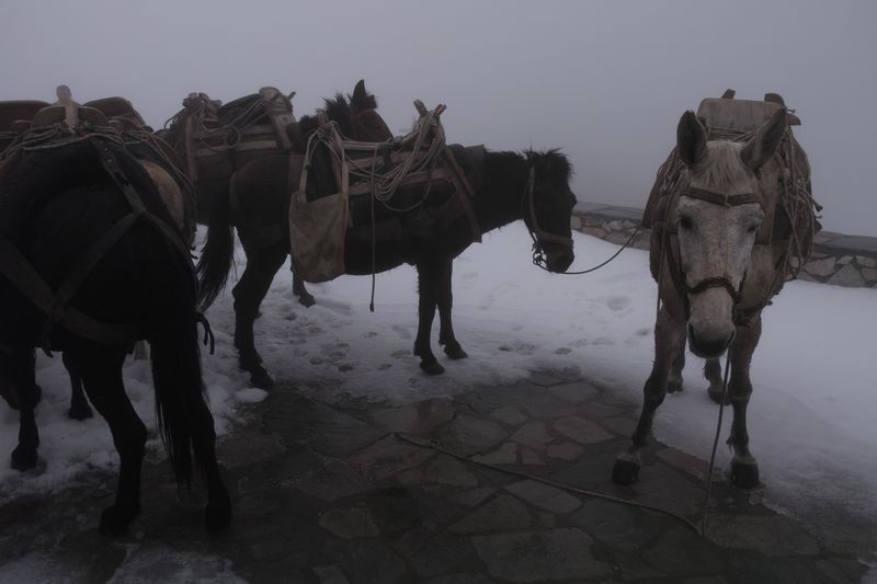 Файл:Афон 2016 - 183.jpg