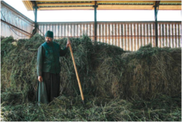 Инок Вадим (Максименков) на заготовке сена. 2010 год