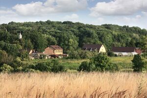 Общий вид подворья в Дурово-Бобрике.jpg