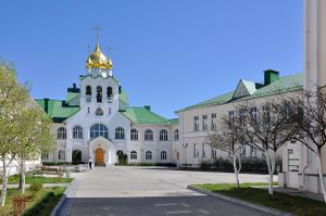 Православные духовные школы, Коломенская ДС